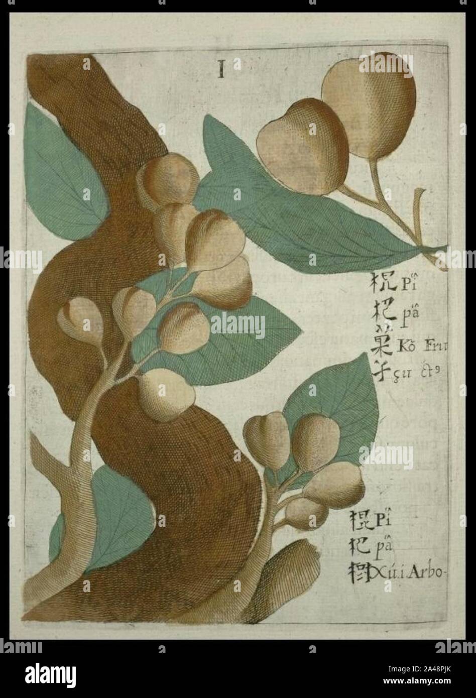 Ko Pi Pi High Resolution Stock Photography And Images Alamy