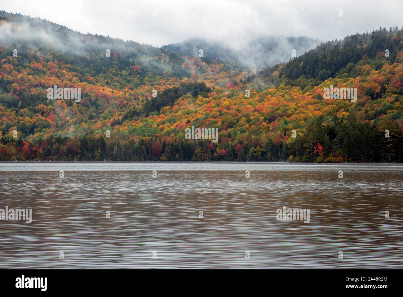 Greenough Ponds Wildlife Management Area in northern New Hampshire, early autumn Stock Photo - Alamy