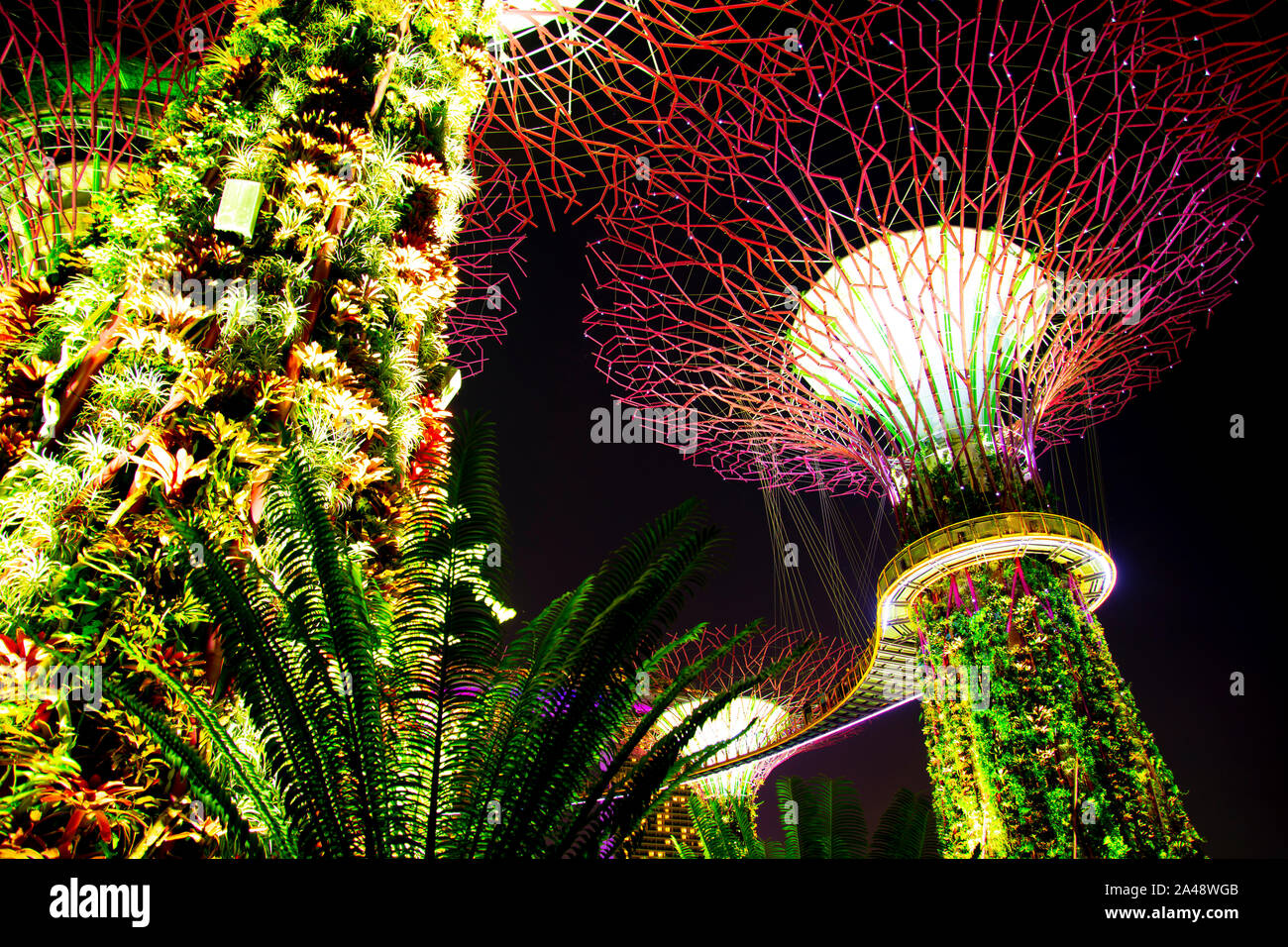 Light show at gardens by the bay hires stock photography and images
