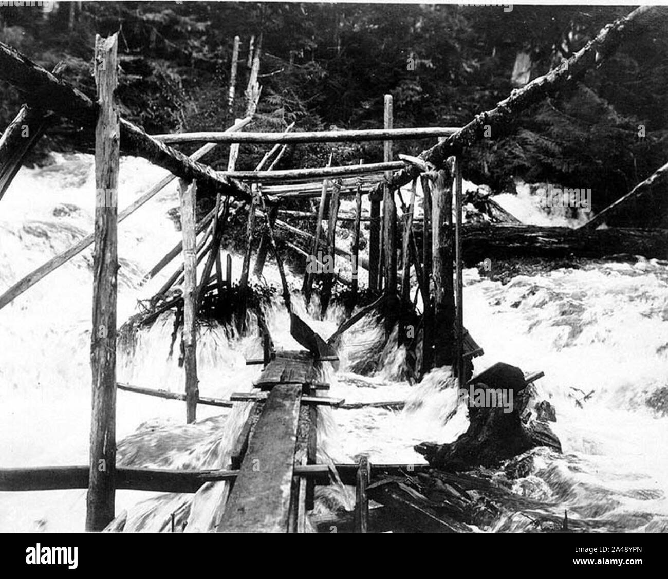 Fish trap in Tamgas Stream, Annette Island, Alaska, July 26, 1910 (COBB 156). Stock Photo
