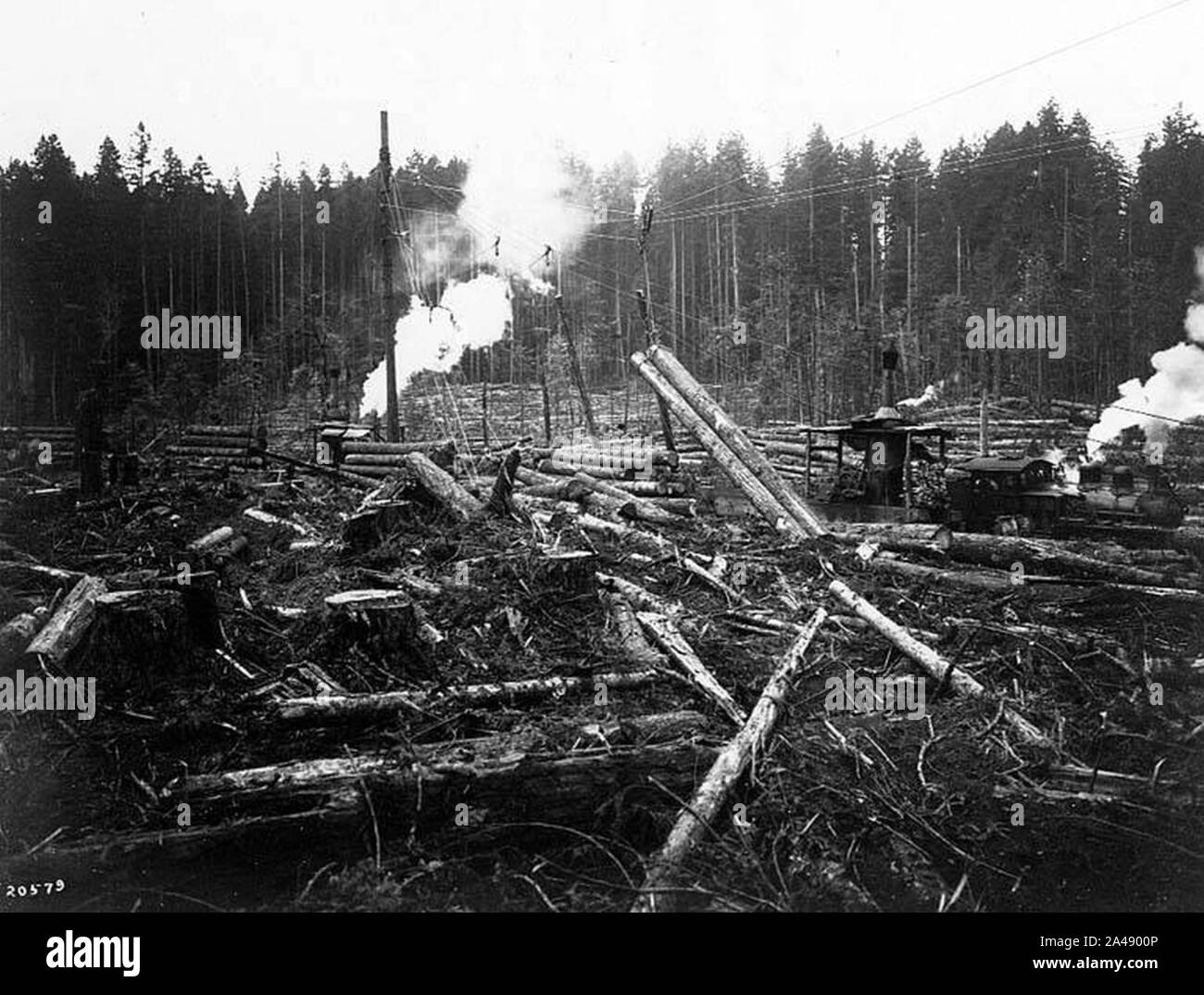 Flying machine at the Brown's Bay Logging Co Meadowdale (CURTIS 998). Stock Photo