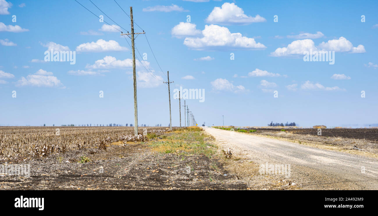 Super large cotton fields Stock Photo