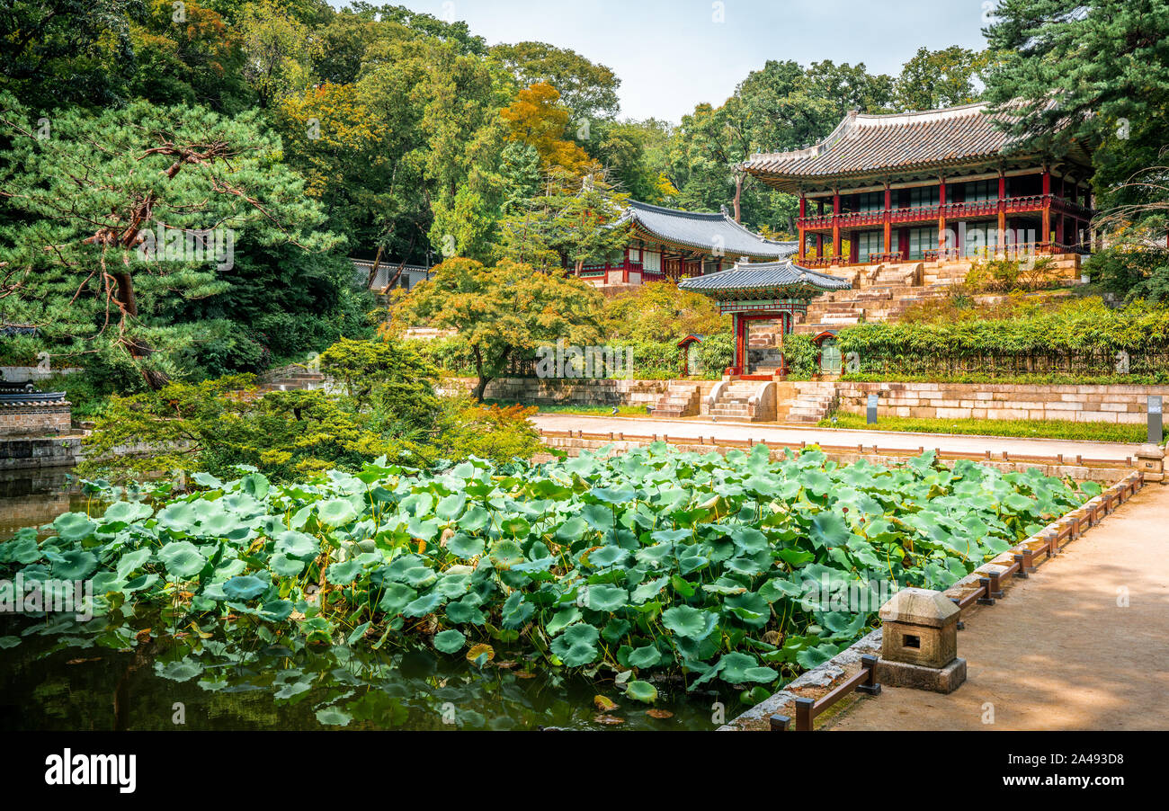 Huwon secret garden view at Changdeokgung Palace with view of Buyongji pond and Juhamnu Pavilion in Seoul South Korea Stock Photo
