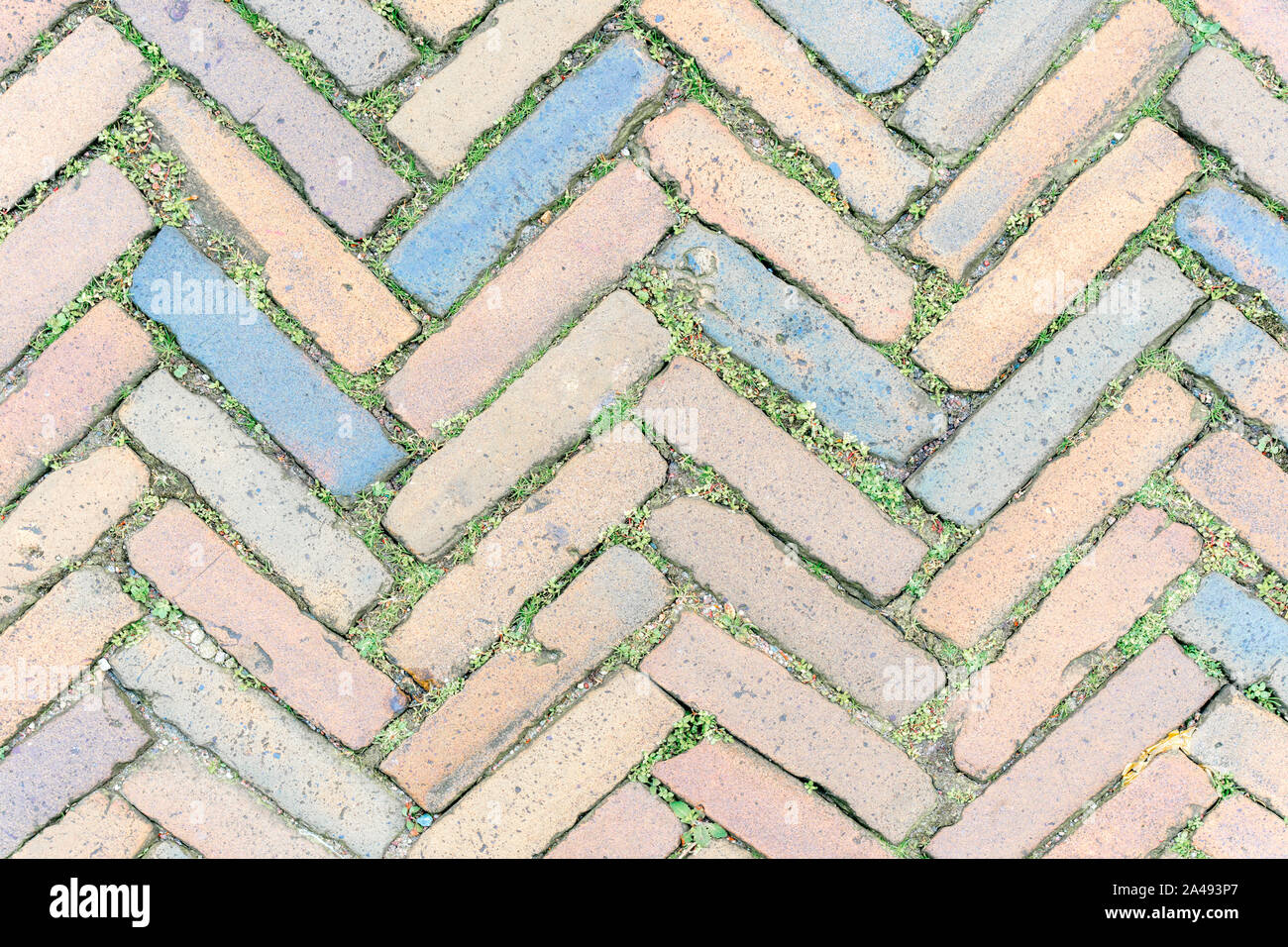A pavement of multi-colored rectangular bricks with growing grass between them. Stock Photo