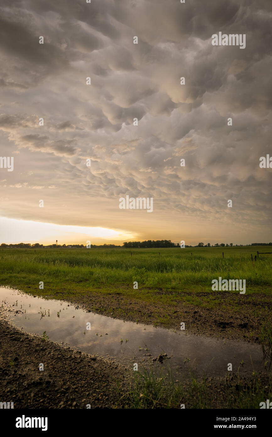 Mammatus Clouds Below The Anvil Of A Severe Thunderstorm Over The 