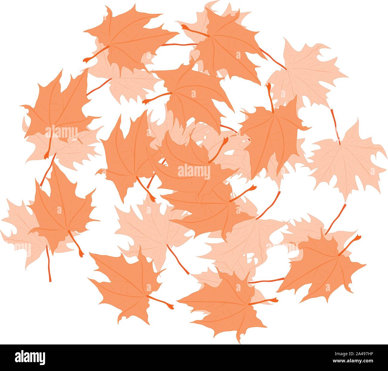 Illustration of colorful autumn maple leaves on white Stock Vector ...