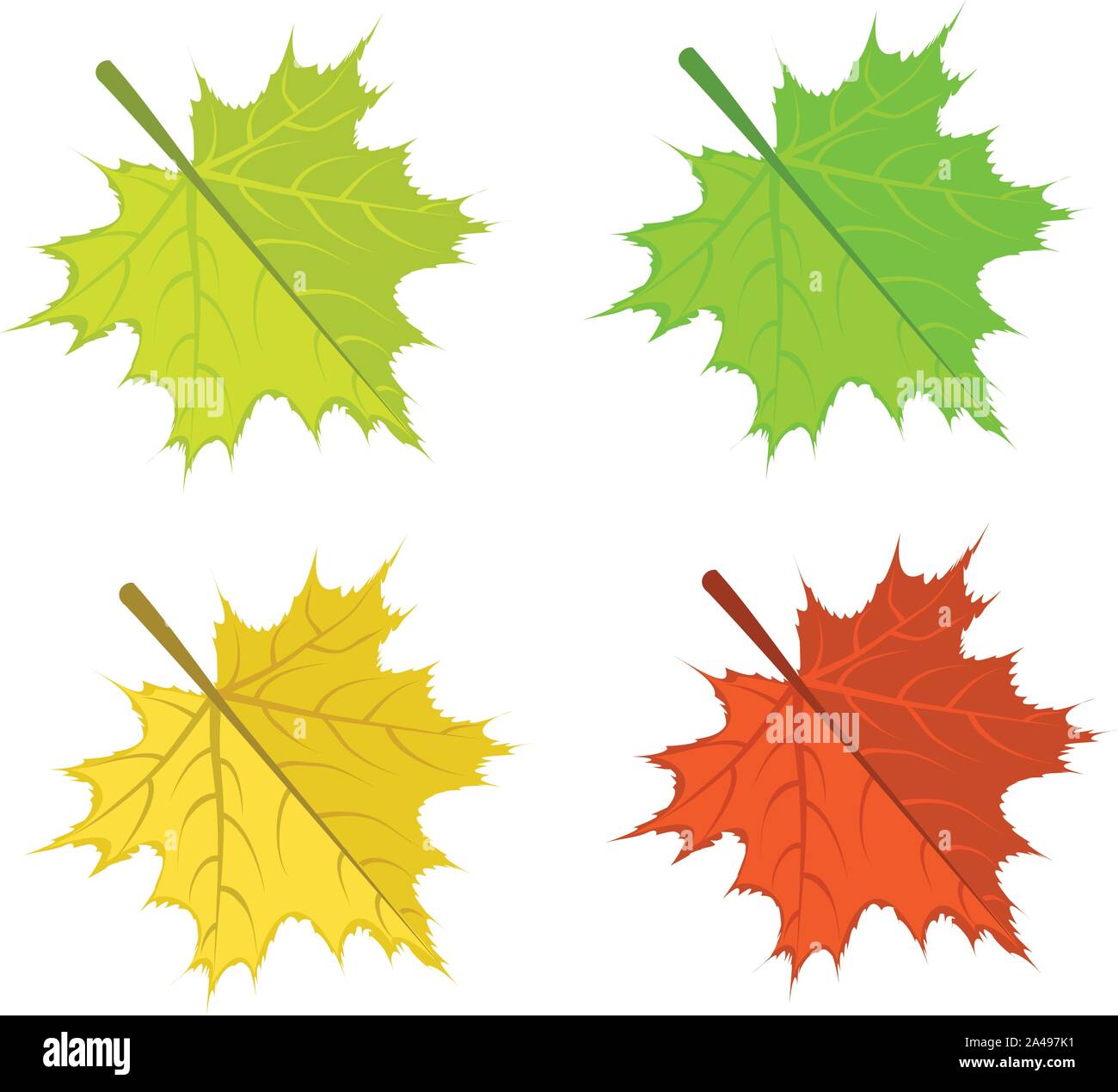 Set of colorful bright maple leaves on white background Stock Vector ...