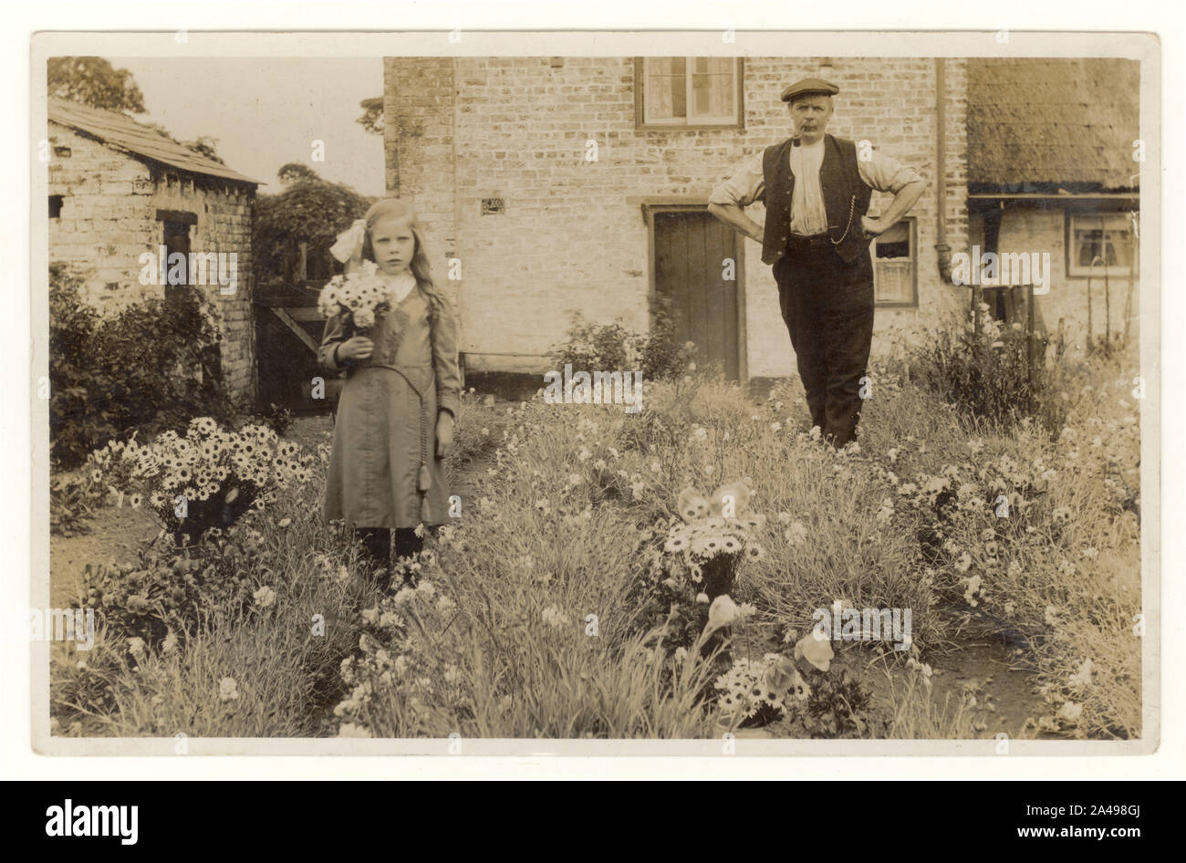 Original charming Edwardian postcard of young girl with an man who is smoking a pipe - possibly her grandfather, outside in a productive cottage garden. The girl wears a large bow in her hair and probably her best dress, and holds a bunch of daisies grown perhaps for market, circa 1910, U.K. Stock Photo