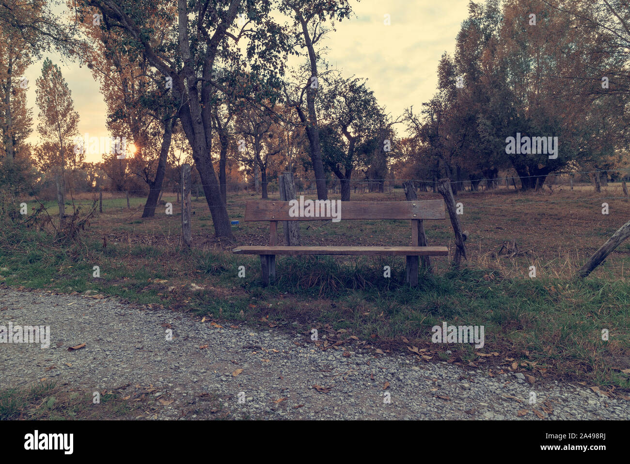 Old bench in the park in autumn Stock Photo - Alamy