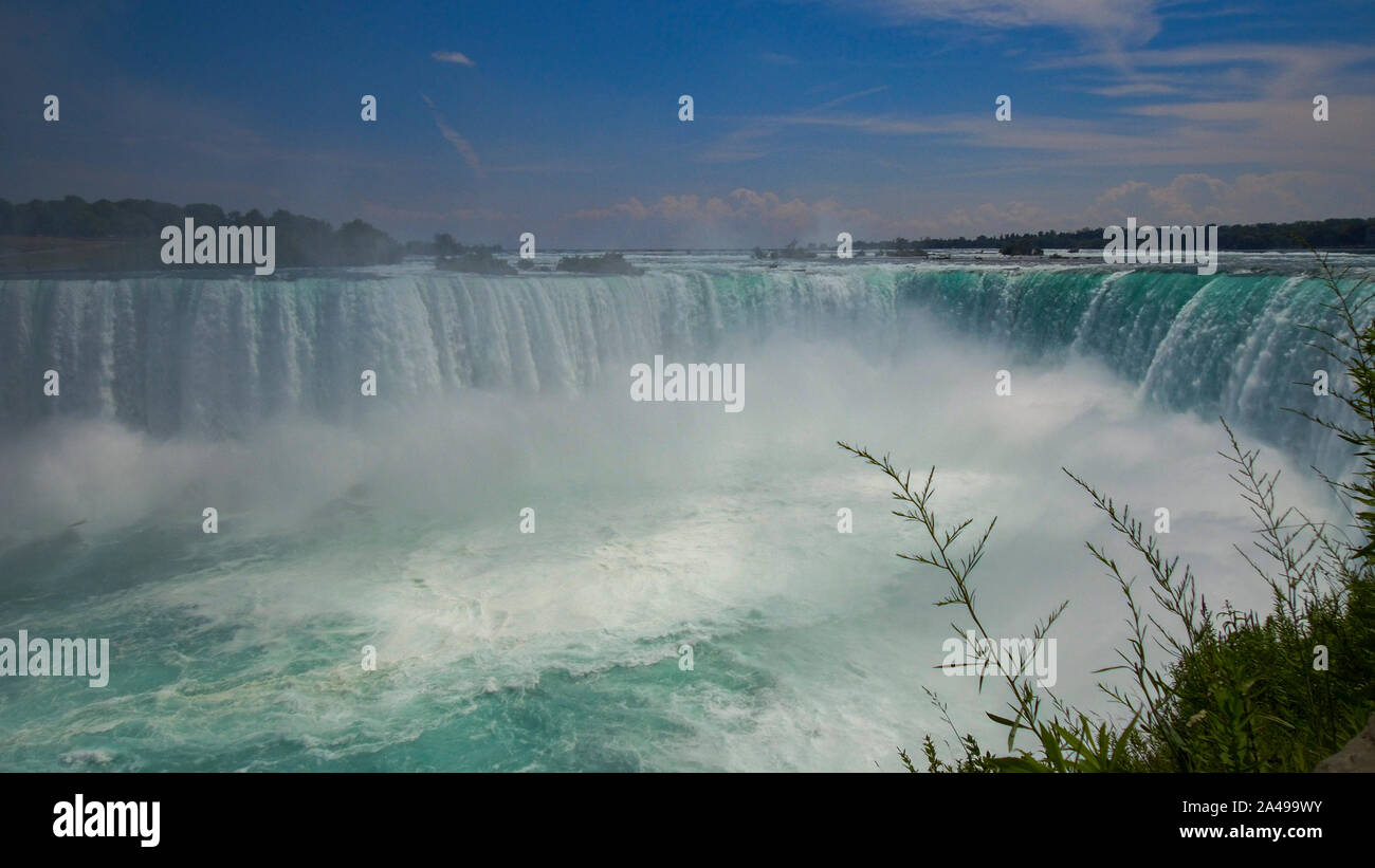 Fake Id's In Niagara Falls