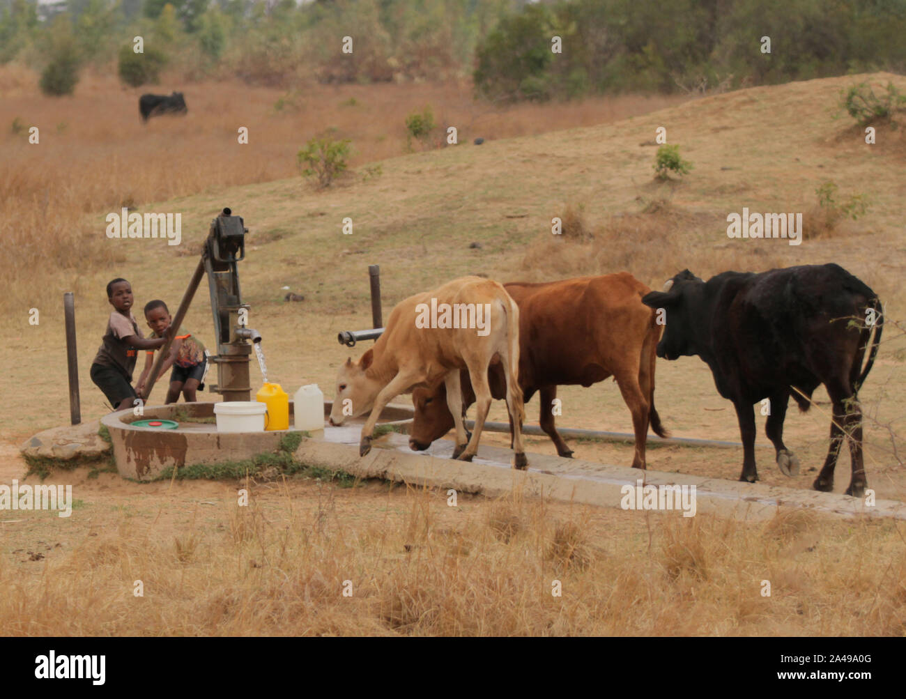 Mt Darwin, Zimbabwe. 11th Oct, 2019. Children fetch water from a well