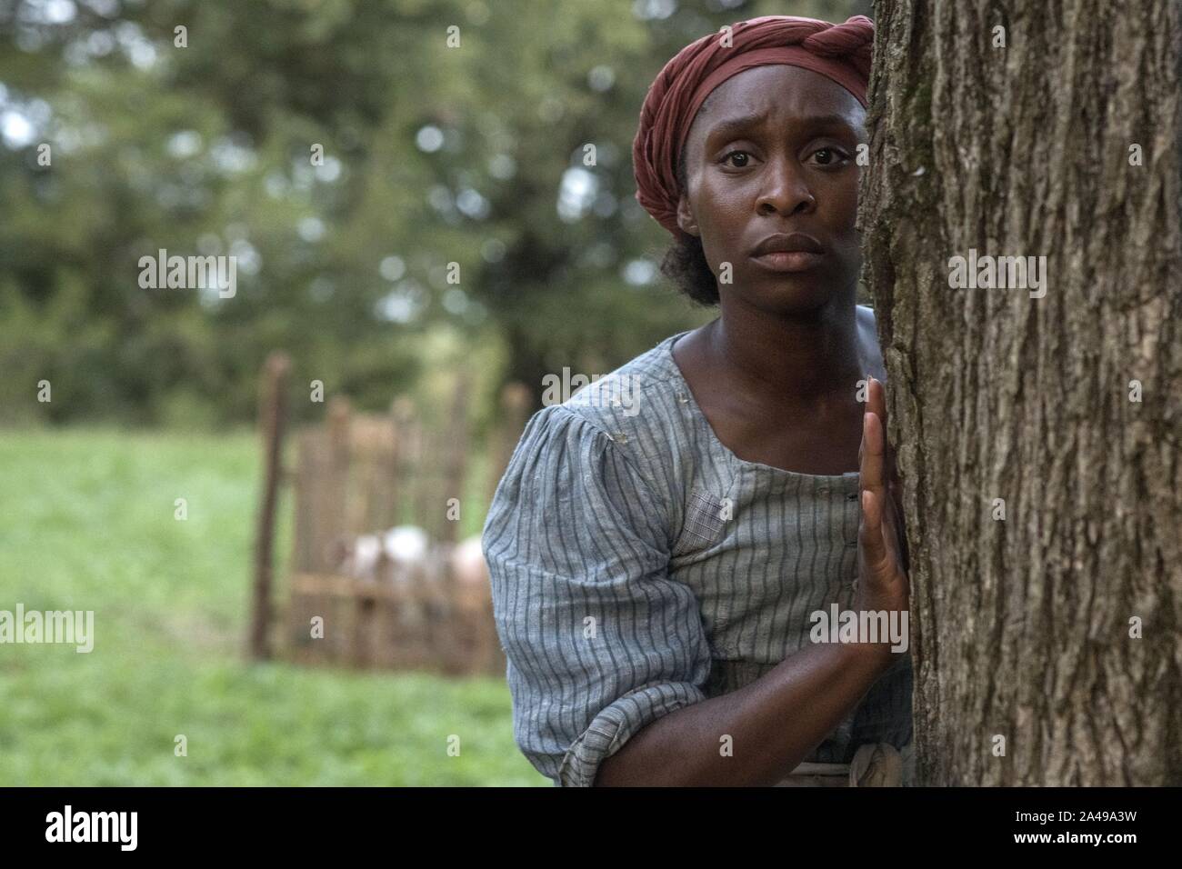 CYNTHIA ERIVO in HARRIET (2019), directed by KASI LEMMONS. Credit: FOCUS FEATURES / Album Stock Photo
