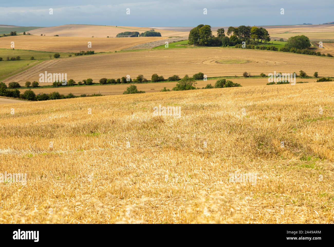 Chalk downland landscape fields of stubble looking west over East Kennett long barrow, Wiltshire, England, UK Stock Photo