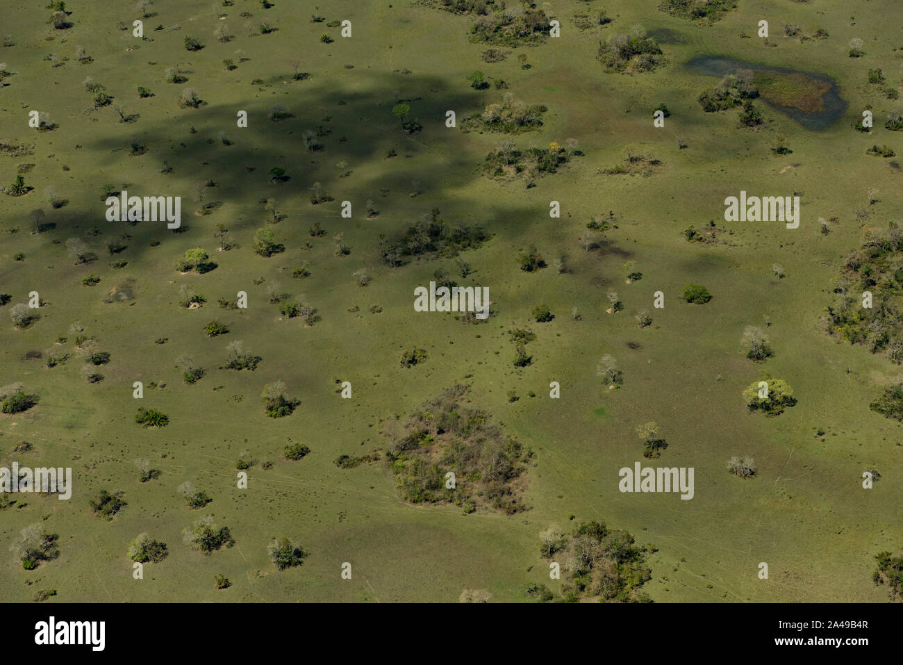 Aerial view of green fields in the Brazilian Pantanal, in Mato Grosso do Sul State, Central-West region of the country Stock Photo