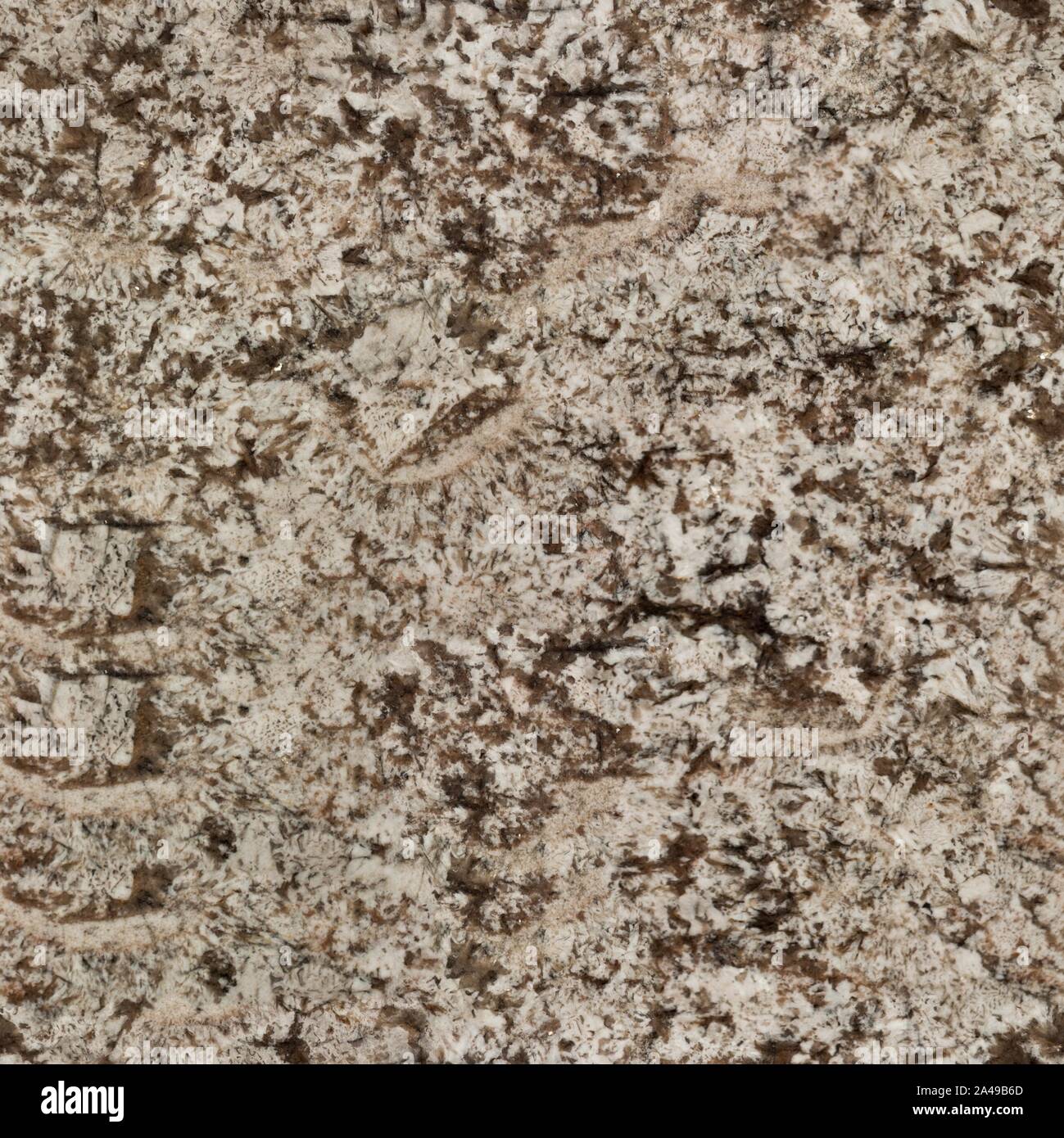 Beige granite, abstract background. Seamless square texture, tile ready. Stock Photo