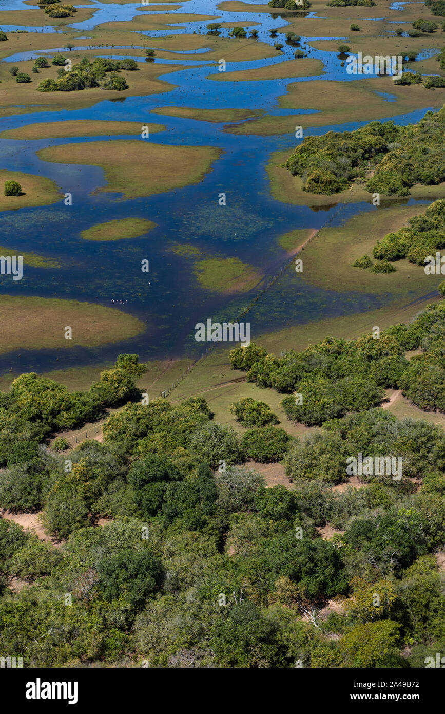 Aquidauana, Mato Grosso do Sul, Brazil: Aerial view of Brazilian wetlands, know as Pantanal - vertical image Stock Photo