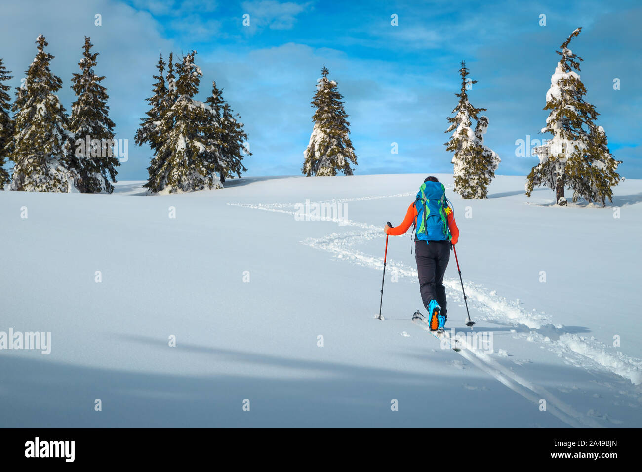 Active woman with backpack in the fresh powder snow, ski touring on the snowy slopes. Backpacker backcountry skier in the mountains, Carpathians, Tran Stock Photo