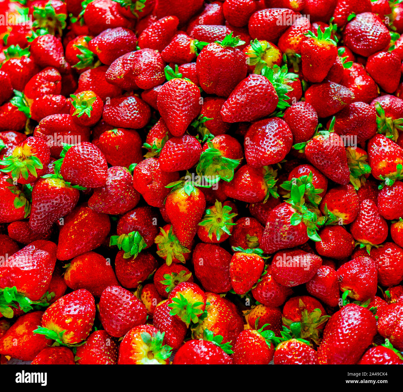 Strawberries tree hi-res stock photography and images - Alamy