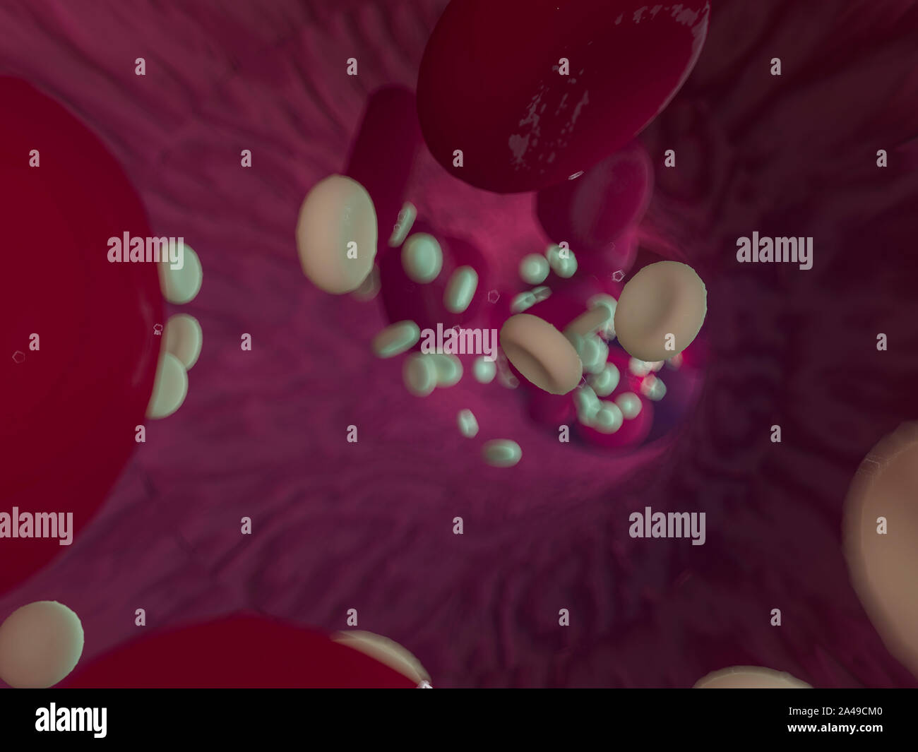 Red blood cells. Scientific illustration bloodstream. 3D rebdering Stock Photo