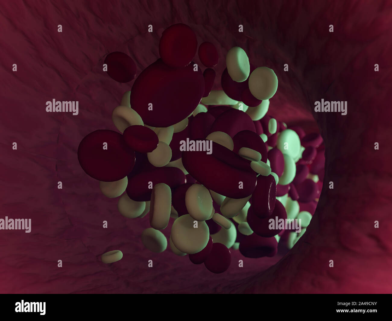 Red blood cells. Scientific illustration bloodstream. 3D rebdering Stock Photo