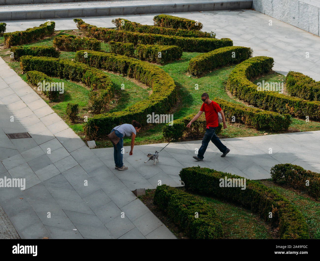 Madrid, Spain - Oct 13, 2019: Man, woman and dog having fun in a park in Madrid, Spain Stock Photo