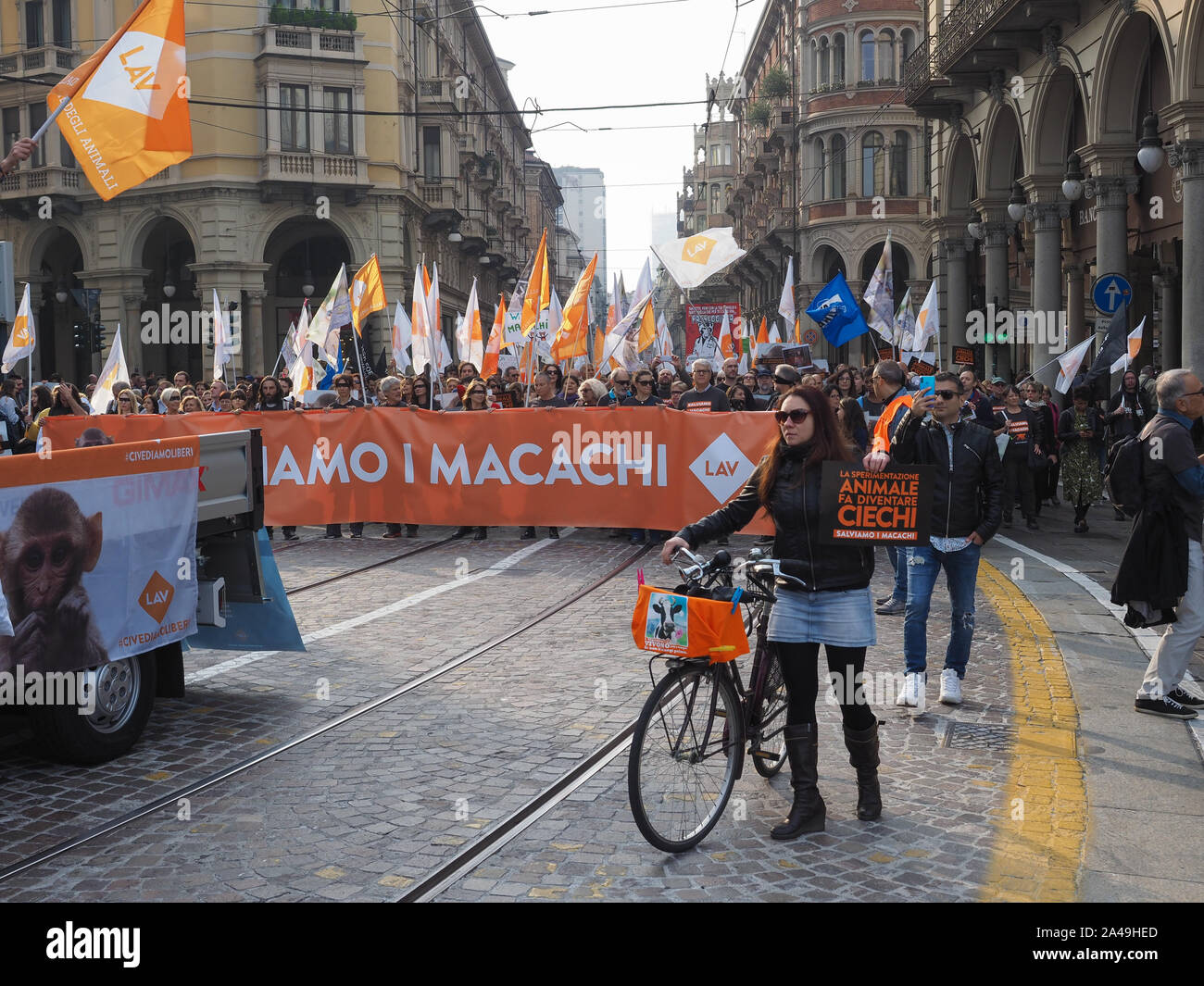 TURIN, ITALY - OCTOBER 12, 2019: LAV (Lega Anti-Vivisezione, meaning Anti-Vivisection Society) nonviolent protest rally to save macaques Stock Photo