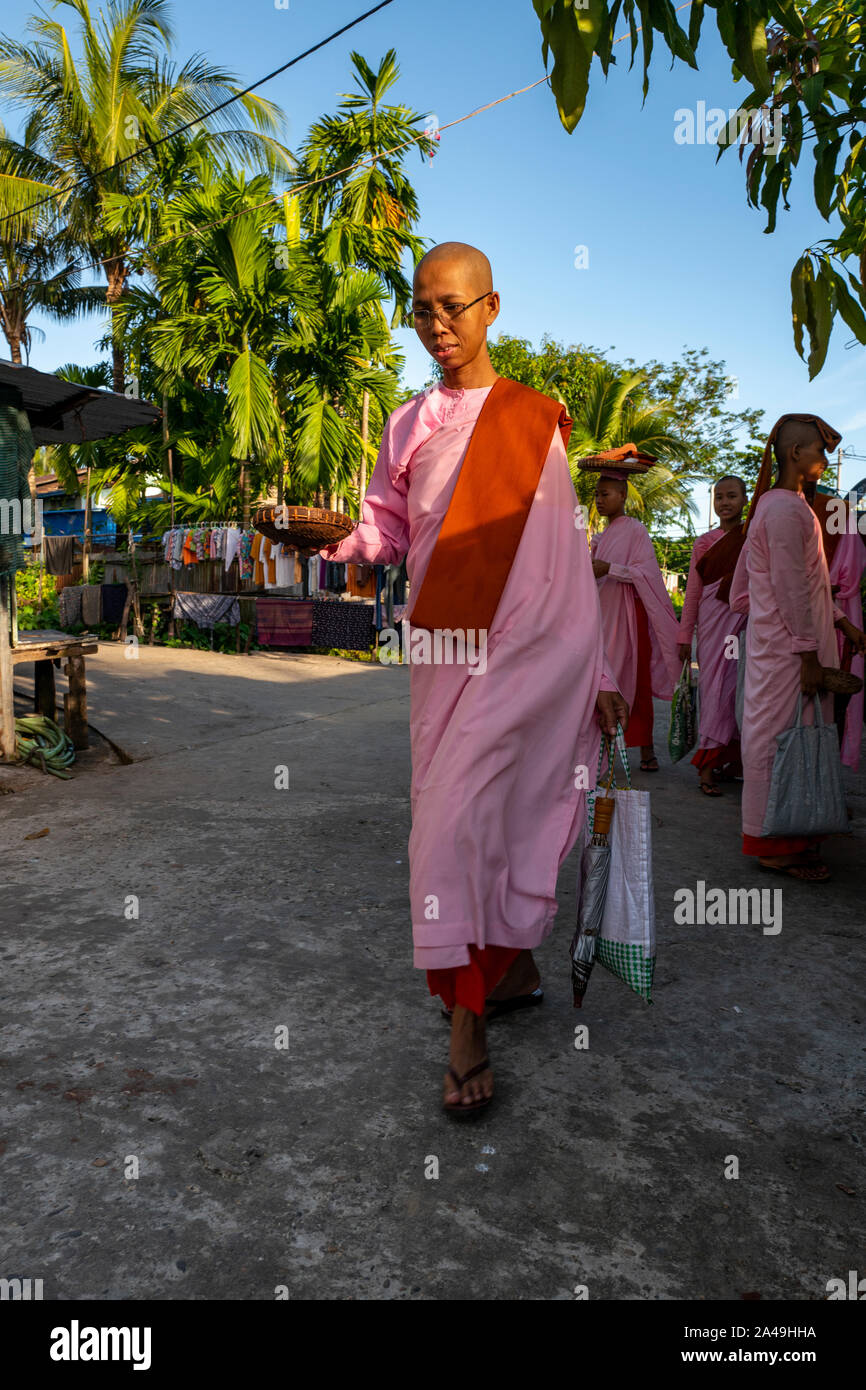 Buddhist nuns in Yangon, Myanmar wearing the traditional pink robes