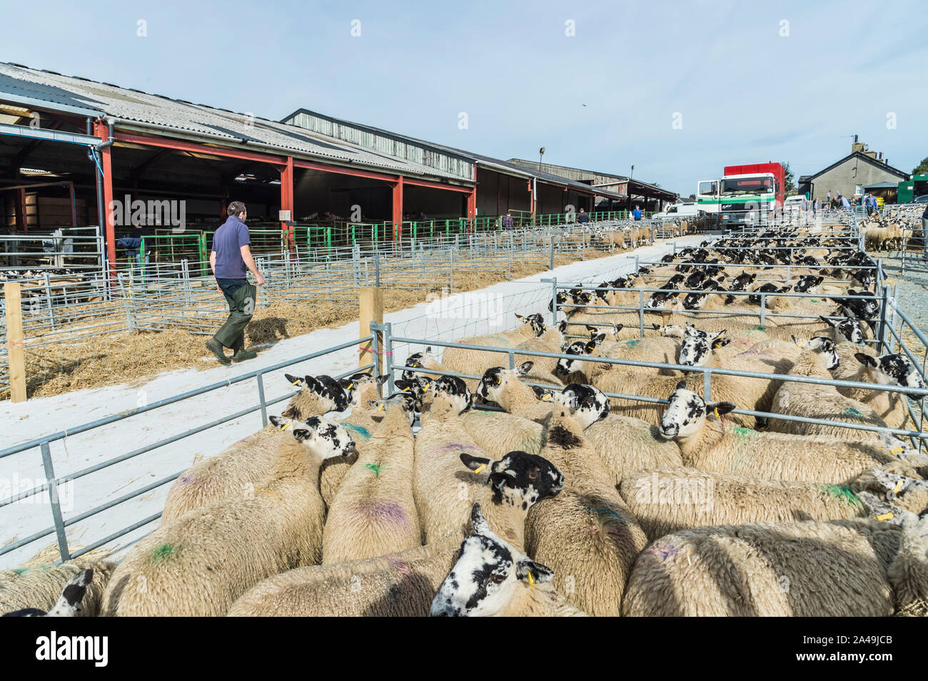 Bentham livestock auction market at Bentham in the North Yorkshire