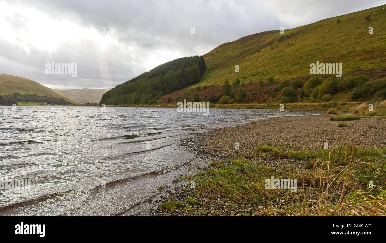St Mary's Loch is the largest natural loch in the Scottish Borders, and is situated on the south side of the A708 road between Selkirk and Moffat, abo Stock Photo