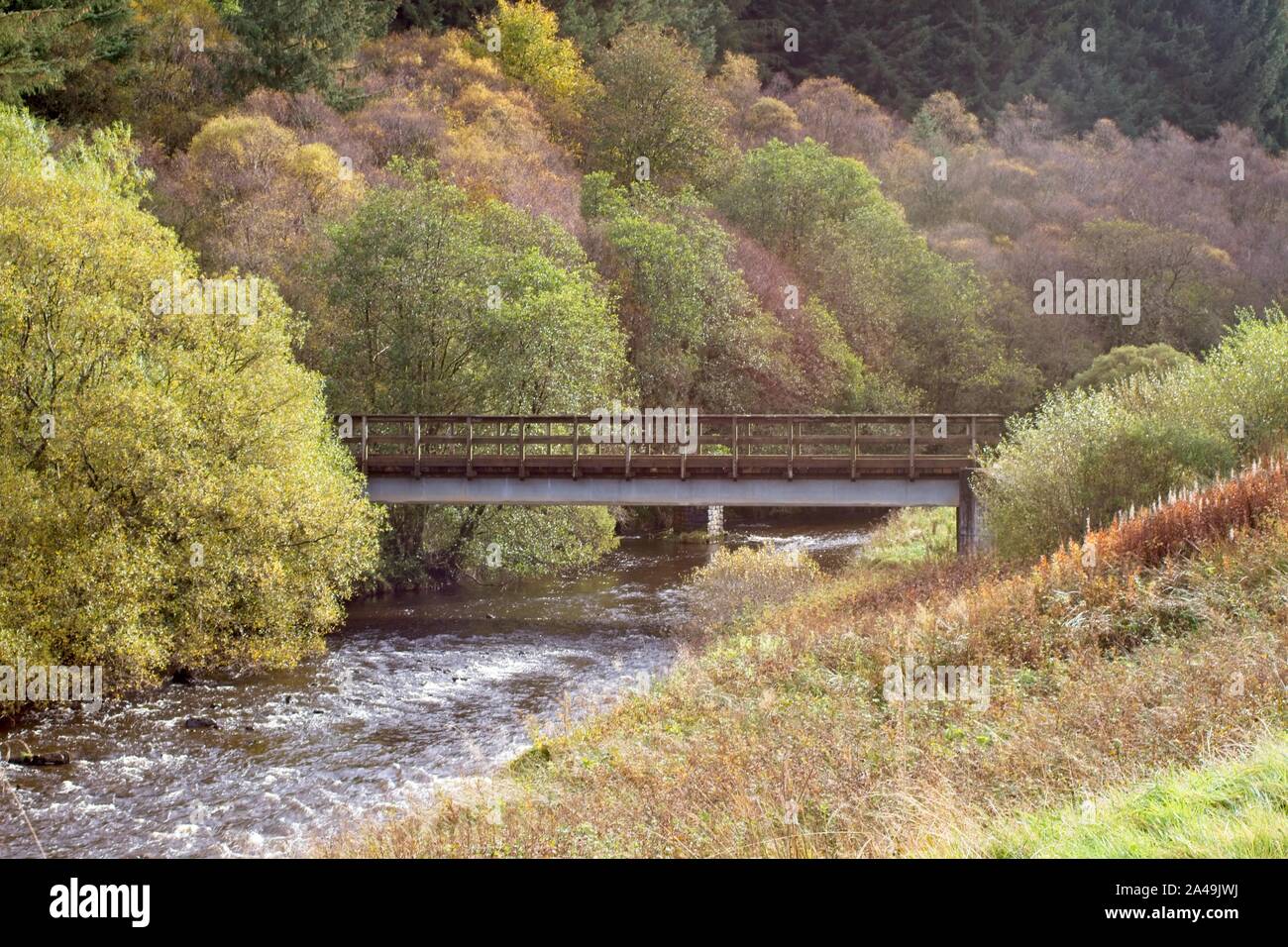 A bridge crosses Ettrick Water in the Scottish Borders between Langholm and Hawick near to Angecroft Park on the A709. Stock Photo