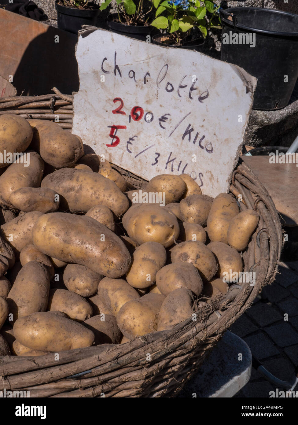 CHARLOTTE POTATOES FRENCH 2€ kilo Pannier basket of French potatoes on display in Fresh Farmers Market Nevéz Brittany France Stock Photo