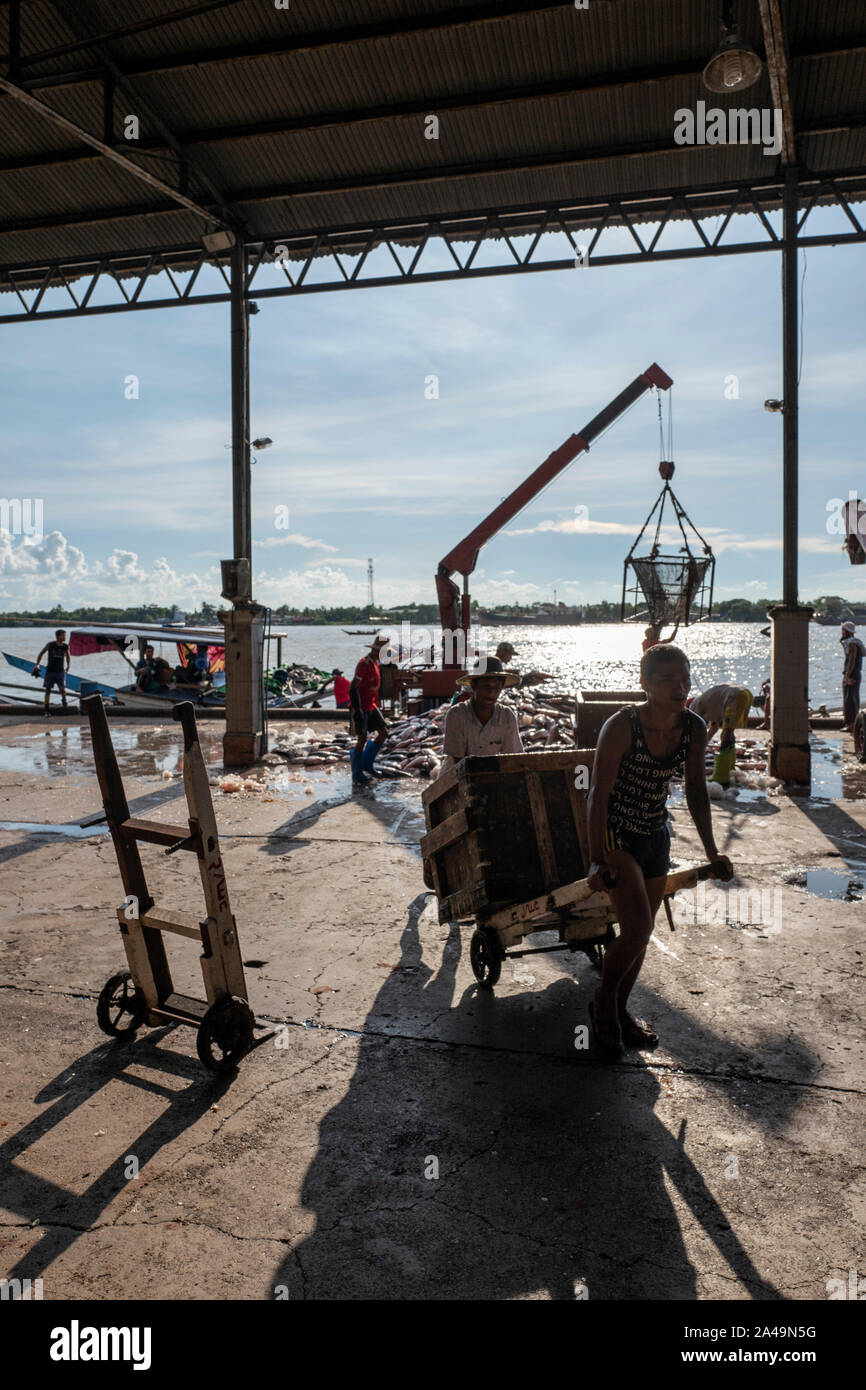 Landing fish at the river docks in Yangon, Myanmar Stock Photo - Alamy