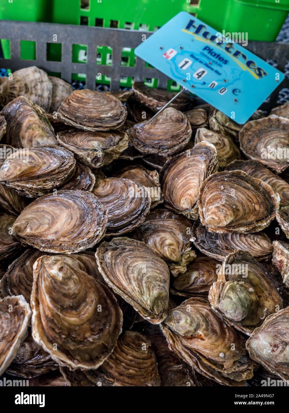 Concarneau indoor fish market huitres belon hires stock photography