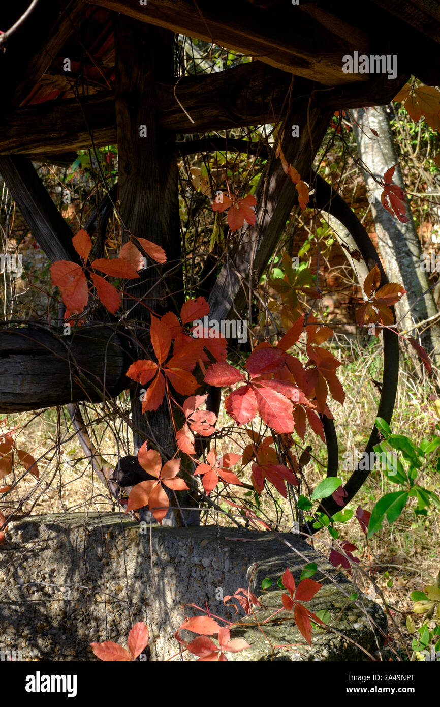 old derelict traditional water well standing isolated in a large area of land in rural countryside surrounded by red autumn vine leaves hungary Stock Photo
