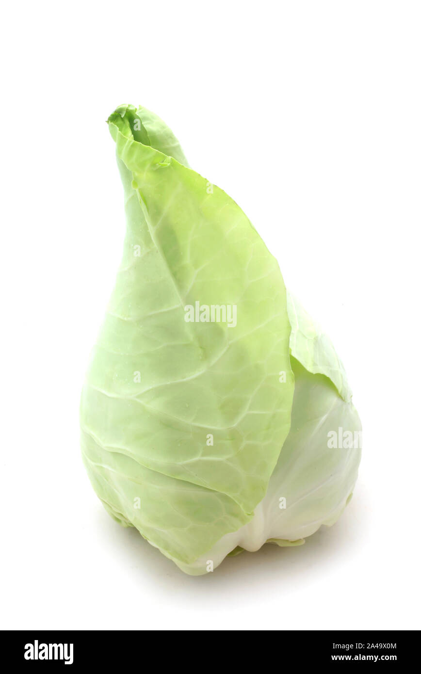 Sweetheart Cabbage Isolated On White Stock Photo Alamy