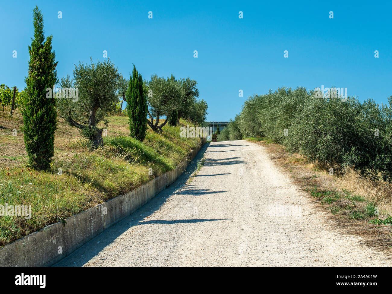 Roads, hills and agricultural land in Italy. Landscape with cypresses