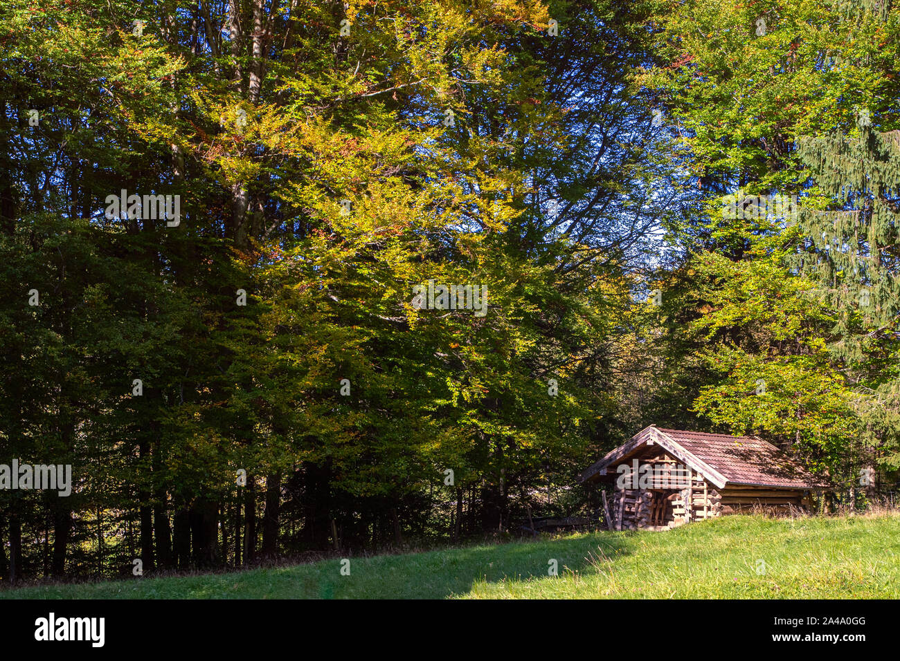 Eine kleine Hütte in den bayerischen Alpen in der Nähe von Ohlstadt. Ein herrlicher Wald rahmt die Hütten ein. Stock Photo
