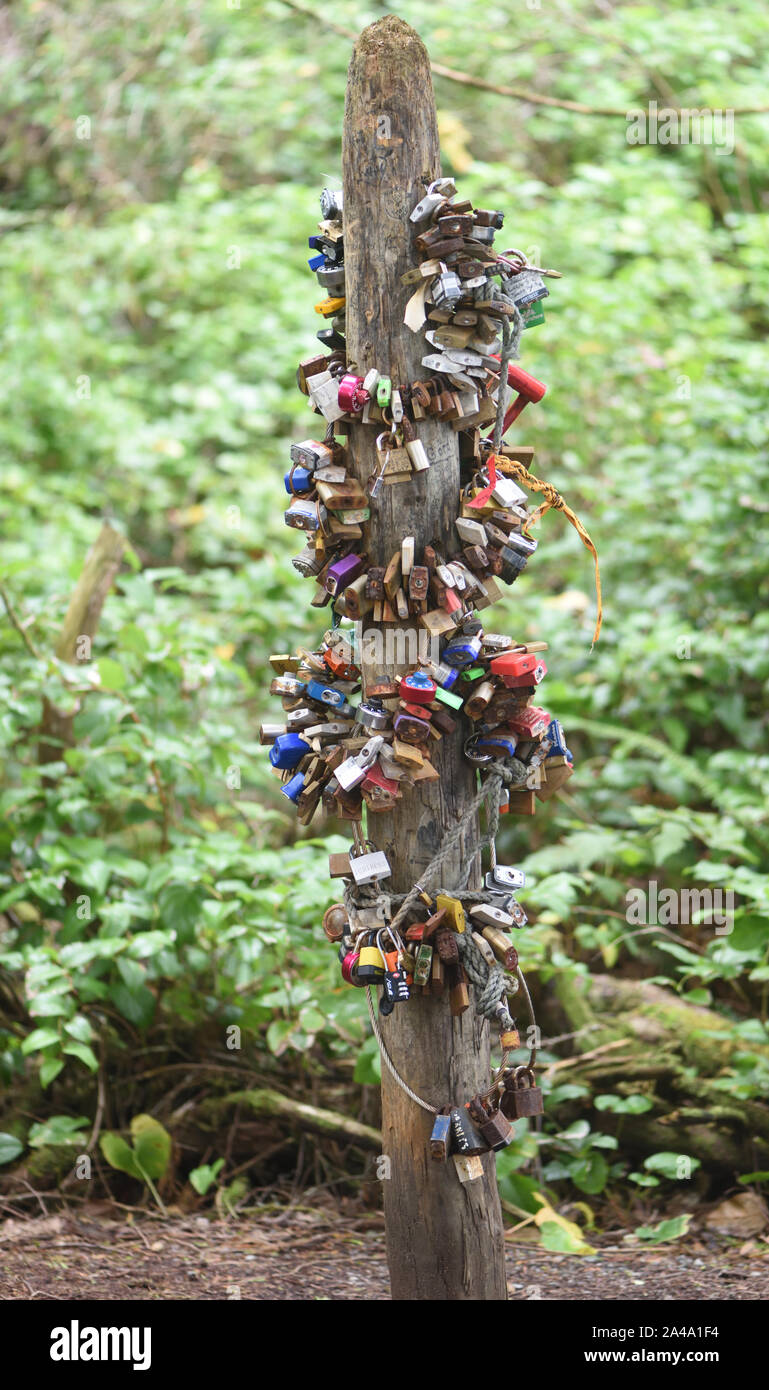 Padlocks locked onto a post as a symbol of love on the Wild Pacific Trail. . Ucluelet, British Columbia, Canada. Stock Photo