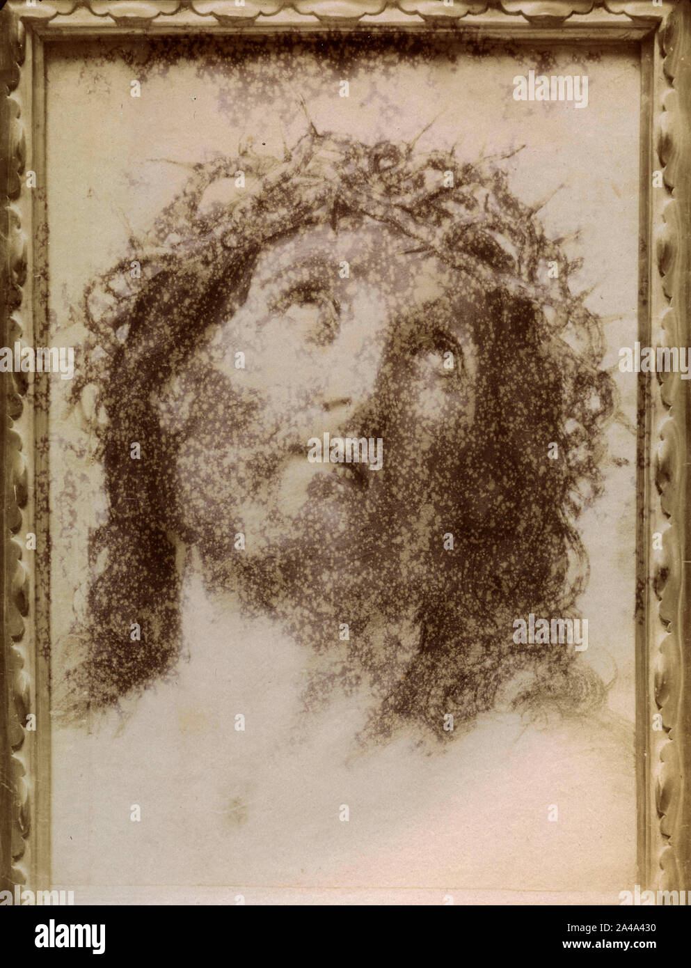 Head of the Nazarene (Jesus Christ), painting by Italian artist Guido Reni, Italy 1870s Stock Photo