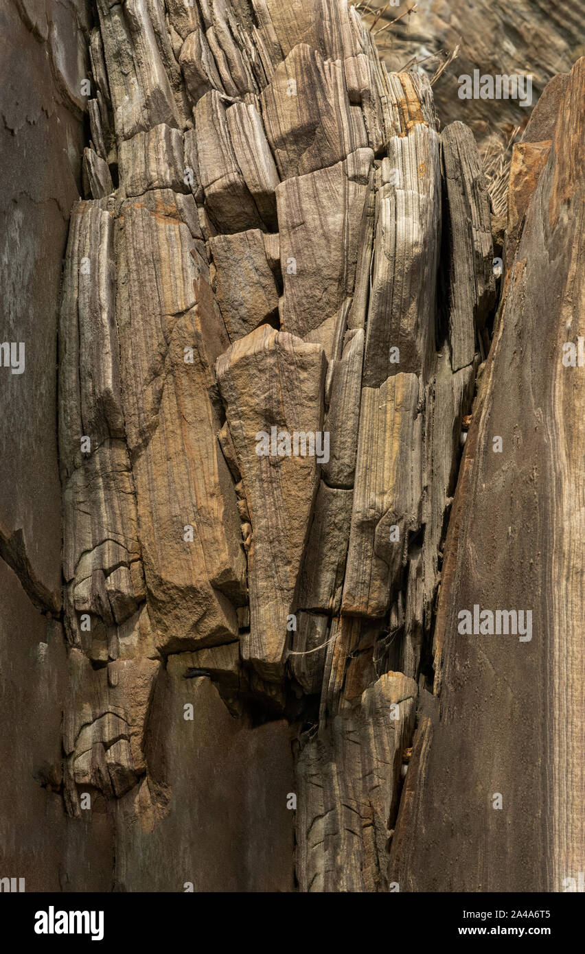 Sedimentary sandstone textured and coloured background Stock Photo