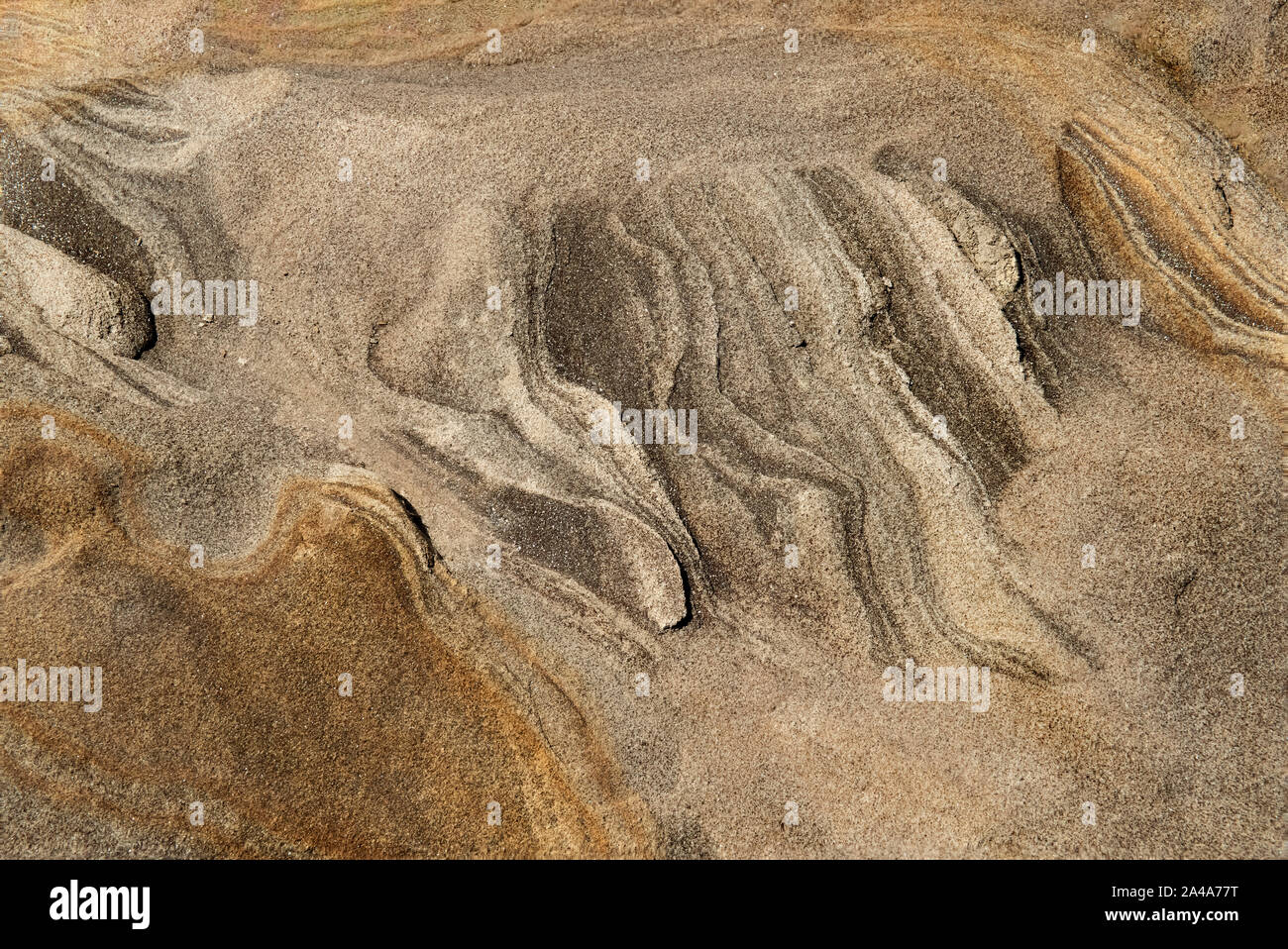 Sedimentary sandstone textured and coloured background Stock Photo