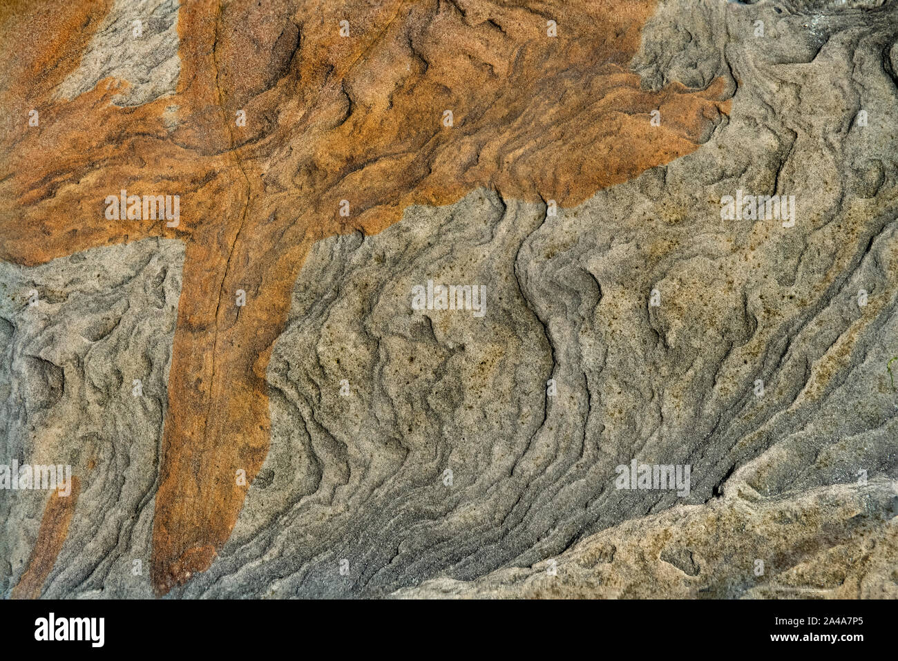 Sedimentary sandstone textured and coloured background Stock Photo