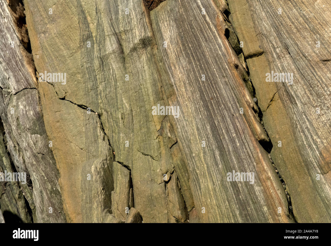 Sedimentary sandstone textured and coloured background Stock Photo