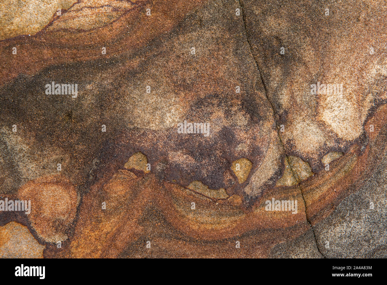 Sedimentary sandstone textured and coloured background Stock Photo