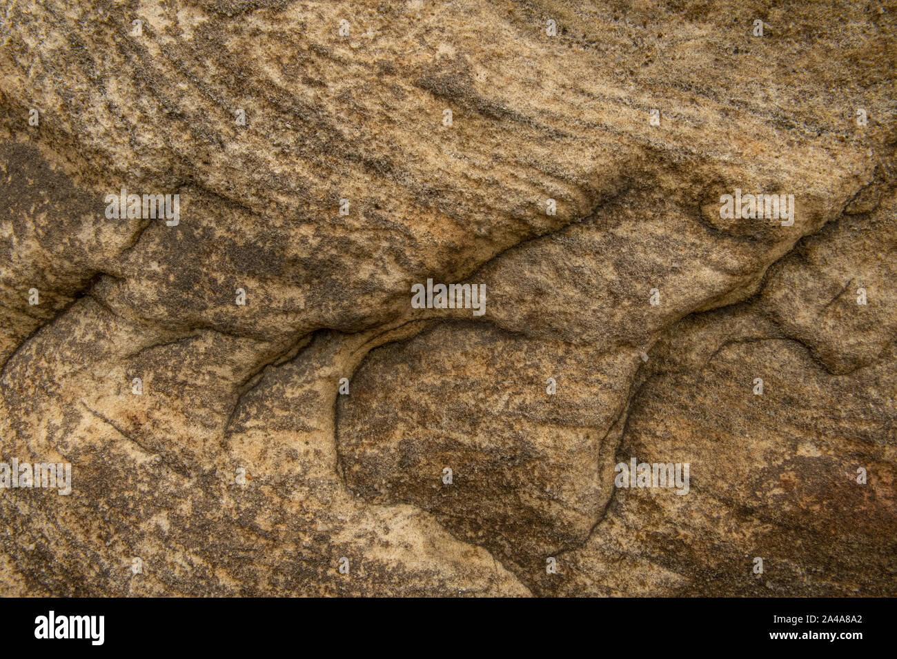 Sedimentary sandstone textured and coloured background Stock Photo