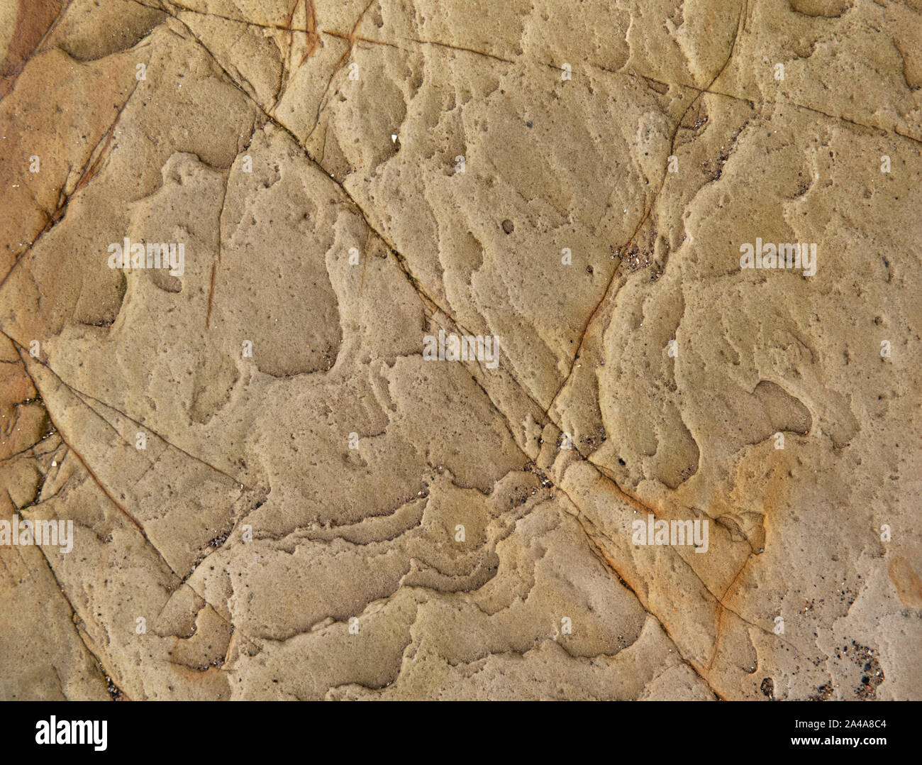 Sedimentary sandstone textured and coloured background Stock Photo