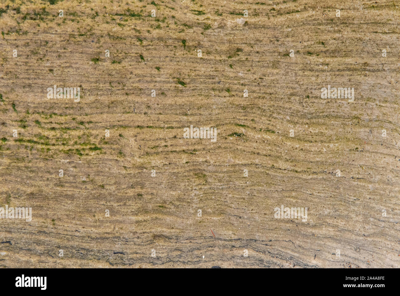 Sedimentary sandstone textured and coloured background Stock Photo