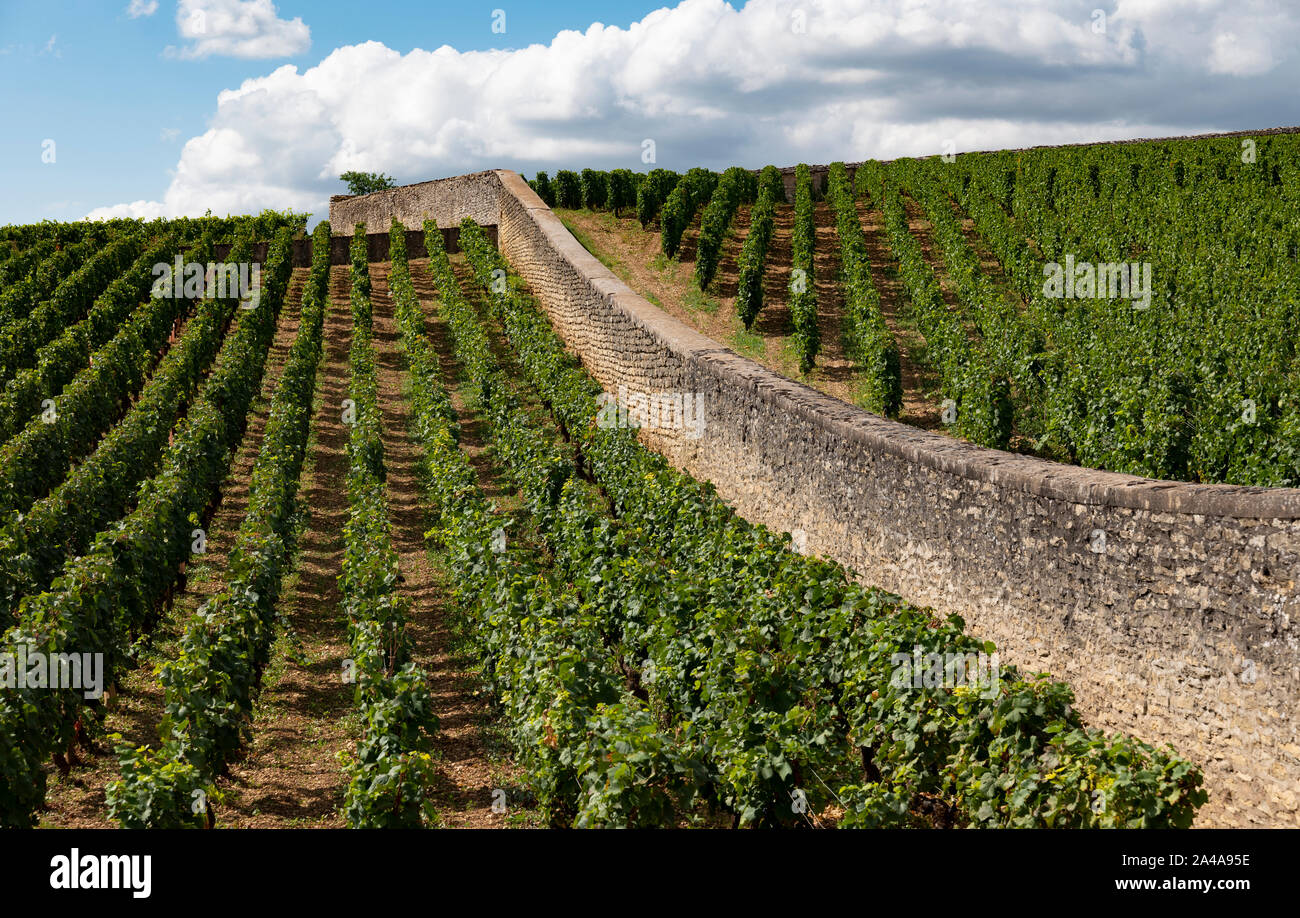 The historic wine estate of Domaine de la Pousse d'Or, Volnay, Burgundy, France. Stock Photo