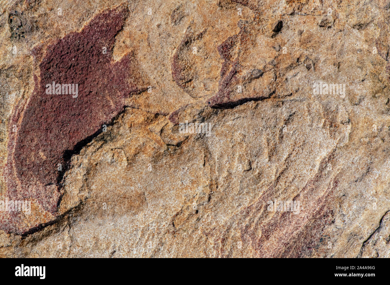 Sedimentary sandstone textured and coloured background Stock Photo