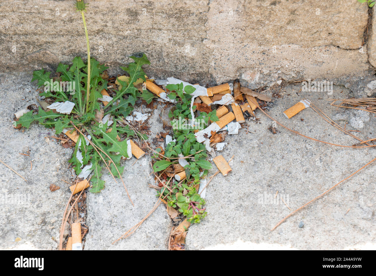 Smoking related litter on the streets of Bedoin, Provence, France. Stock Photo